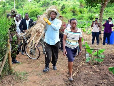 President Museveni at his farm